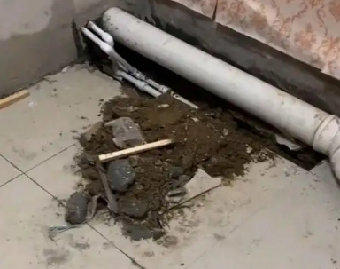 资阳卫生间漏水检测哪家好
