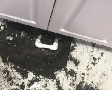 资阳查漏水哪家好
